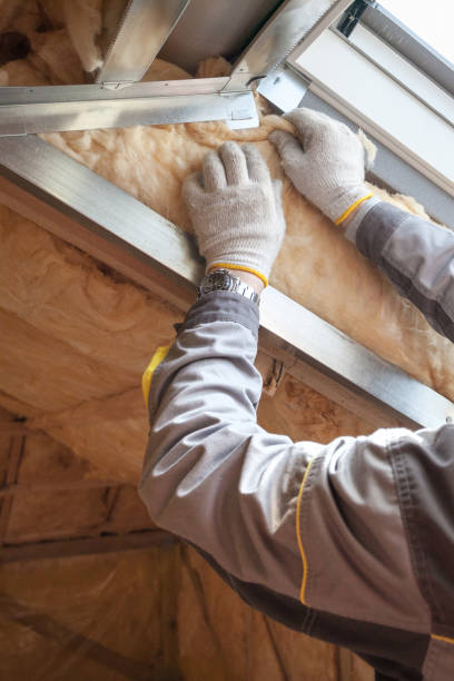 Best Insulation Maintenance and Repair in Spearman, TX